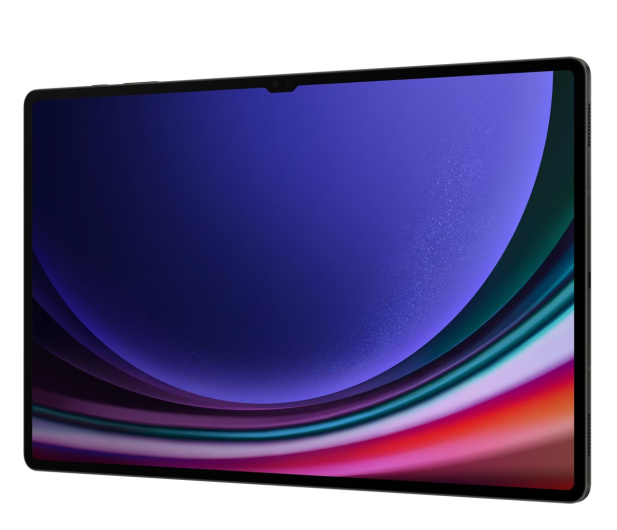 SAMSUNG Galaxy TAB S9 Ultra 14,6" 12/256GB WiFi szary (SM-X910NZAAEUE) - 1158901 - zdjęcie 8
